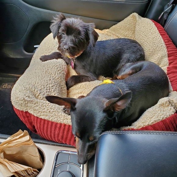 Meet your Posher, Rochelle - Picture 2 of 4